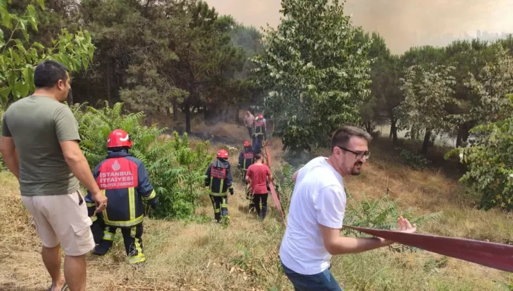 İstanbul Sultangazi’de orman yangını