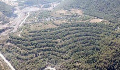 Muğla Valiliği’nden Akbelen açıklaması