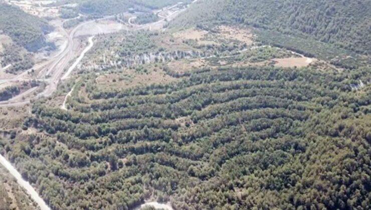 Muğla Valiliği’nden Akbelen açıklaması
