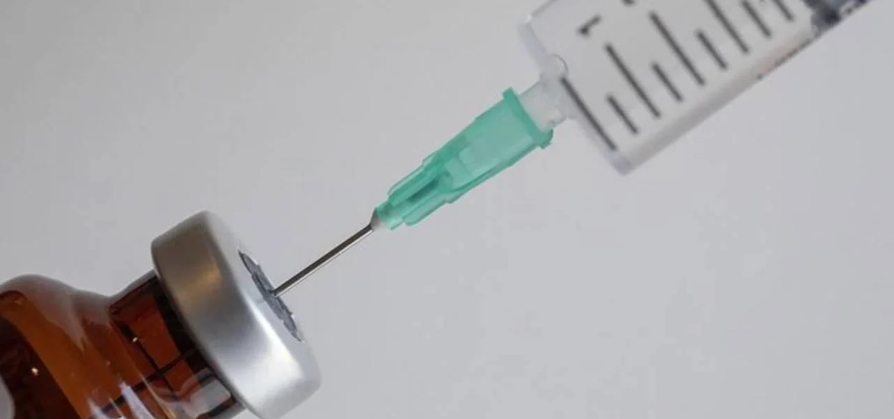 altı bileşenli karma aşı